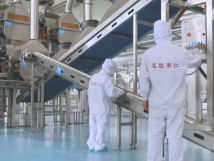 2025年的第一個(gè)月，承德亞歐果仁有限公司在山杏產(chǎn)業(yè)的道路上持續(xù)奮進(jìn)，展現(xiàn)出蓬勃的發(fā)展活力。